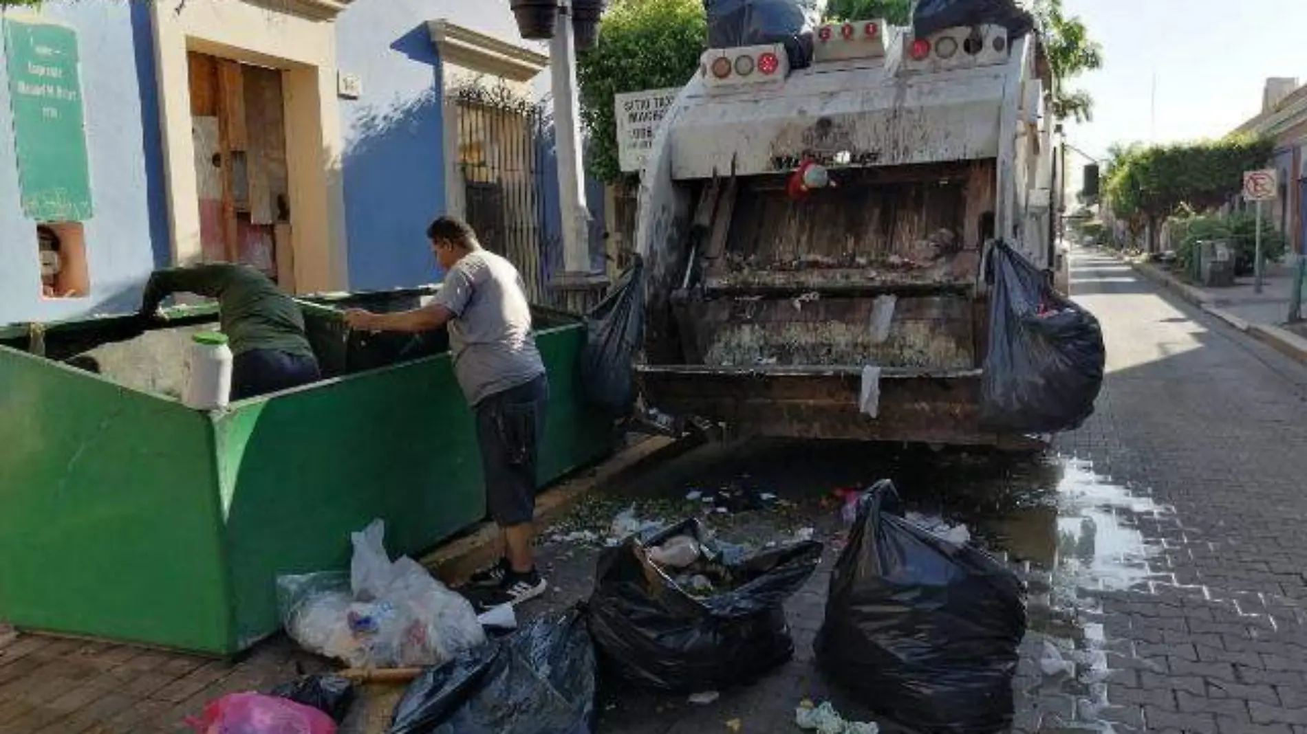 basura - mzt